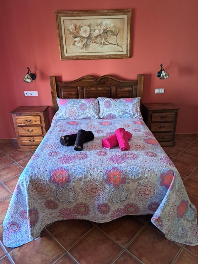 Vila Casa El Albero La Joya Exteriér fotografie